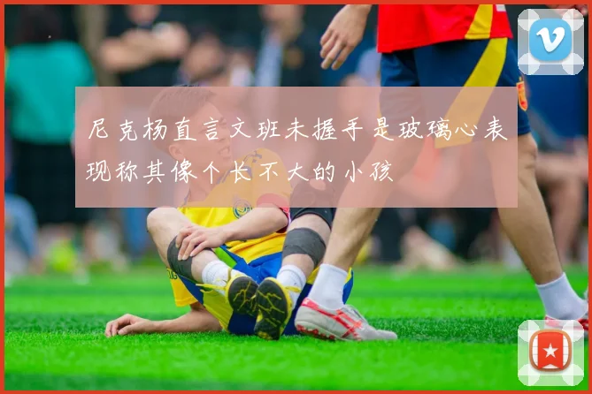 尼克杨直言文班未握手是玻璃心表现称其像个长不大的小孩